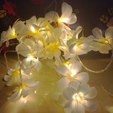 NNEDSZ 1 Set of 20 LED White Frangipani Flower Battery String Lights Christmas Gift Home Wedding Beach Party Decoration Outdoor Table Centrepiece