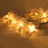 NNEDSZ 1 Set of 20 LED White Frangipani Flower Battery String Lights Christmas Gift Home Wedding Beach Party Decoration Outdoor Table Centrepiece