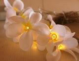 NNEDSZ 1 Set of 20 LED White Frangipani Flower Battery String Lights Christmas Gift Home Wedding Beach Party Decoration Outdoor Table Centrepiece