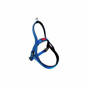 NNEDSZ KONG Norwegian Blue Harness Small