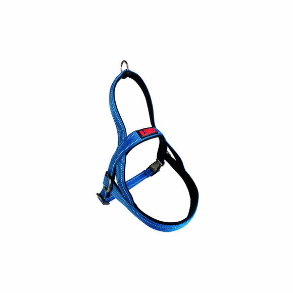 NNEDSZ KONG Norwegian Blue Harness Small