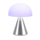 NNEDSZ Lexon Mina L Large Portable Led Lamp - Alu Polish