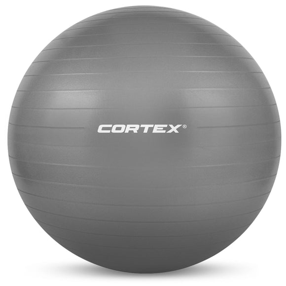 NNEDSZ Fitness Ball 75cm in Grey