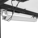 NNEDSZ WalkingPad C2 Treadmill + ErgoDesk Automatic Standing Desk 1500mm in White/Black + Cable Management Tray