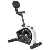 NNEDSZ Fitness Cyclestation 3 Exercise Bike with ErgoDesk Automatic Standing Desk 180cm in Oak/Black