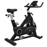 NNEDSZ Lifespan Fitness SM810 Commercial Spin Bike