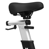 NNEDSZ Lifespan Fitness SM810 Commercial Spin Bike