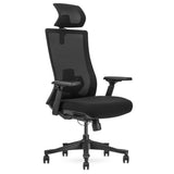 NNEDSZ Lifespan Fitness DM9 Ergonomic Mesh High Back Office Chair