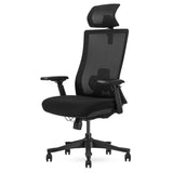 NNEDSZ Lifespan Fitness DM9 Ergonomic Mesh High Back Office Chair