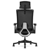 NNEDSZ Lifespan Fitness DM9 Ergonomic Mesh High Back Office Chair
