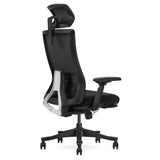 NNEDSZ Lifespan Fitness DM9 Ergonomic Mesh High Back Office Chair