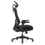 NNEDSZ Lifespan Fitness DM9 Ergonomic Mesh High Back Office Chair