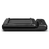 NNEDSZ Lifespan Fitness WalkingPad M2 + ErgoDesk 1500mm Oak + Cable Management + DM9 Chair