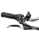 NNEDSZ Progear Bikes E-Free 24" E-Trike
