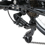 NNEDSZ Progear Bikes E-Free 24" E-Trike