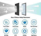 NNEDSZ EVO Filter for Dyson Pure Cool Purifying Fans TP00, TP01, TP02, TP03, AM11, BP01