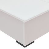 NNEDSZ Queen Bed Frame Fabric Upholstery MDF LED Headboard in Champagne Colour