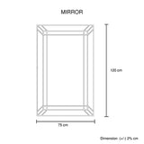 NNEDSZ Wall Mirror MDF Construction Rectangular Shape Silver Colour