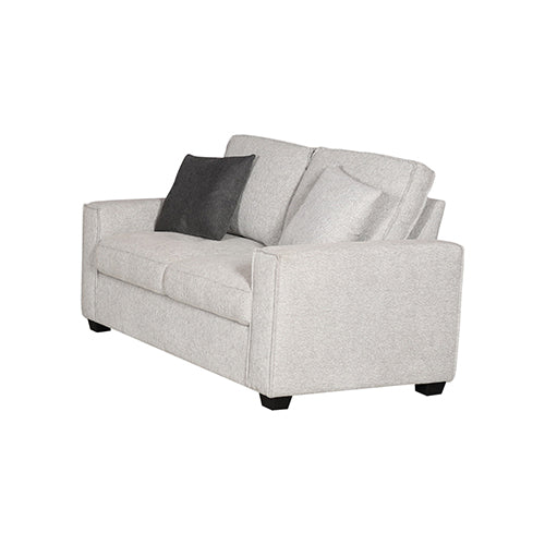 NNEDSZ Milano 2 Seater Sofa Set Polyester Fabric Multilayer Two Pillows Attached Individual Pocket Spring