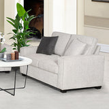NNEDSZ Milano 2 Seater Sofa Set Polyester Fabric Multilayer Two Pillows Attached Individual Pocket Spring