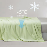 NNEDSZ Ice Cooling Reversible Summer Comforter Blanket (Green and Grey, Single/Double)