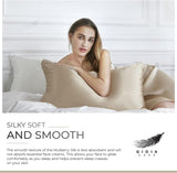 NNEDSZ Luxury Pillowcase - 100% Pure Mulberry Silk on Both Sides - Champagne
