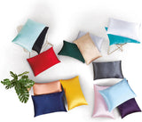 NNEDSZ Luxury Pillowcase - 100% Pure Mulberry Silk on Both Sides - Silver