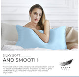 NNEDSZ Luxury Pillowcase - 100% Pure Mulberry Silk on Both Sides - Sky Blue