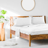 NNEDSZ 1000TC Cotton Rich SHEET SET - QUEEN
