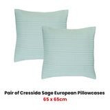 NNEDSZ Bianca Pair of Cressida Sage European Pillowcases 65 x 65cm