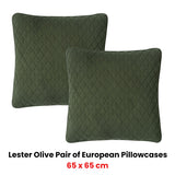 NNEDSZ Bianca Pair of Lester Olive Velvet European Pillowcases 65 x 65cm