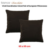 NNEDSZ Bianca Pair of Vivid Coordinates Velvet European Pillowcases Chocolate 65 x 65cm