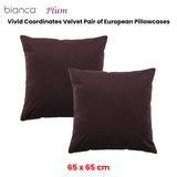 NNEDSZ Bianca Pair of Vivid Coordinates Velvet European Pillowcases Plum 65 x 65cm