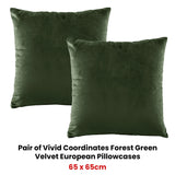 NNEDSZ Pair of Vivid Coordinates Forest Green Velvet European Pillowcases