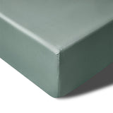 NNEDSZ 400TC Sage Bamboo Cotton Mega / Super Fitted Sheet 50cm Wall King