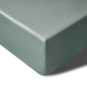 NNEDSZ 400TC Sage Bamboo Cotton Mega / Super Fitted Sheet 50cm Wall Queen