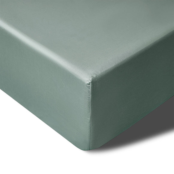 NNEDSZ 400TC Sage Bamboo Cotton Mega / Super Fitted Sheet 50cm Wall Queen