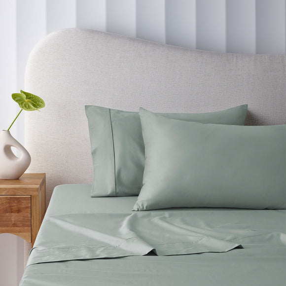 NNEDSZ 400TC Sage Bamboo Cotton Mega / Super Sheet Set 50cm Wall Super King