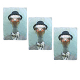 NNEDSZ Set of 3 Zoo Portraits Microfiber Tea Towels Ostrich 67 x 45 cm