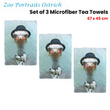 NNEDSZ Set of 3 Zoo Portraits Microfiber Tea Towels Ostrich 67 x 45 cm