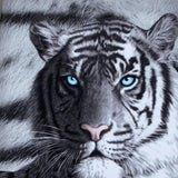 NNEDSZ Just Home Set of 3 Printed Blue Eyes Stripes Tiger Wall Canvas