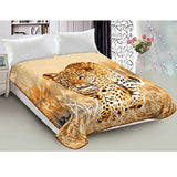 NNEDSZ 800GSM Luxury Reversible Animal Pattern Mink Blanket Queen 200 x 240 cm Prowling Leopard
