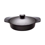 NNEDSZ Sori Yanagi Japanese Iron Soup Pot Casserole 22cm with Lid and Fork