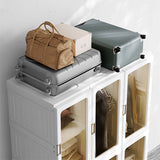 NNEDSZ Kylin Cubes Storage Folding Cabinet Wardrobe With 12 Grids & 8 Doors & 2 Hangers