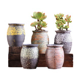 NNEDSZ Ceramic Clay Pottery Pots Set Succulent Flower Planter Series 02(Style 02# 5 Pots Set)