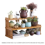 NNEDSZ 2 Tier Bamboo Plant Stand Shelves Flower Pot Rack Garden Indoor Outdoor Patio
