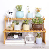 NNEDSZ 2 Tier Bamboo Plant Stand Shelves Flower Pot Rack Garden Indoor Outdoor Patio