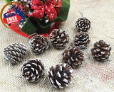 NNEDSZ 18 Christmas Natural Pine Cones Xmas Tree Hanging Home Decoration Ornament Gifts, 18x Natural w Snow Covered Pinecones