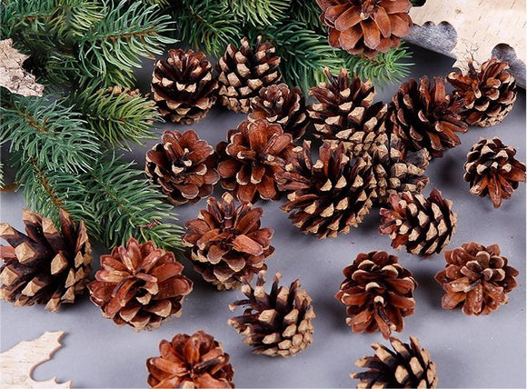 NNEDSZ 18 Christmas Natural Pine Cones Xmas Tree Hanging Home Decoration Ornament Gifts, 18x Natural Pinecones