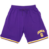 NNEDSZ Men's Basketball Sports Shorts Gym Jogging Swim Board Boxing Sweat Casual Pants, Purple - Los Angeles 6, XL
